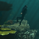 Illustration for article titled New emGTA V/em Screens Show Off Sunsets, Scuba Diving and Stormy Skies